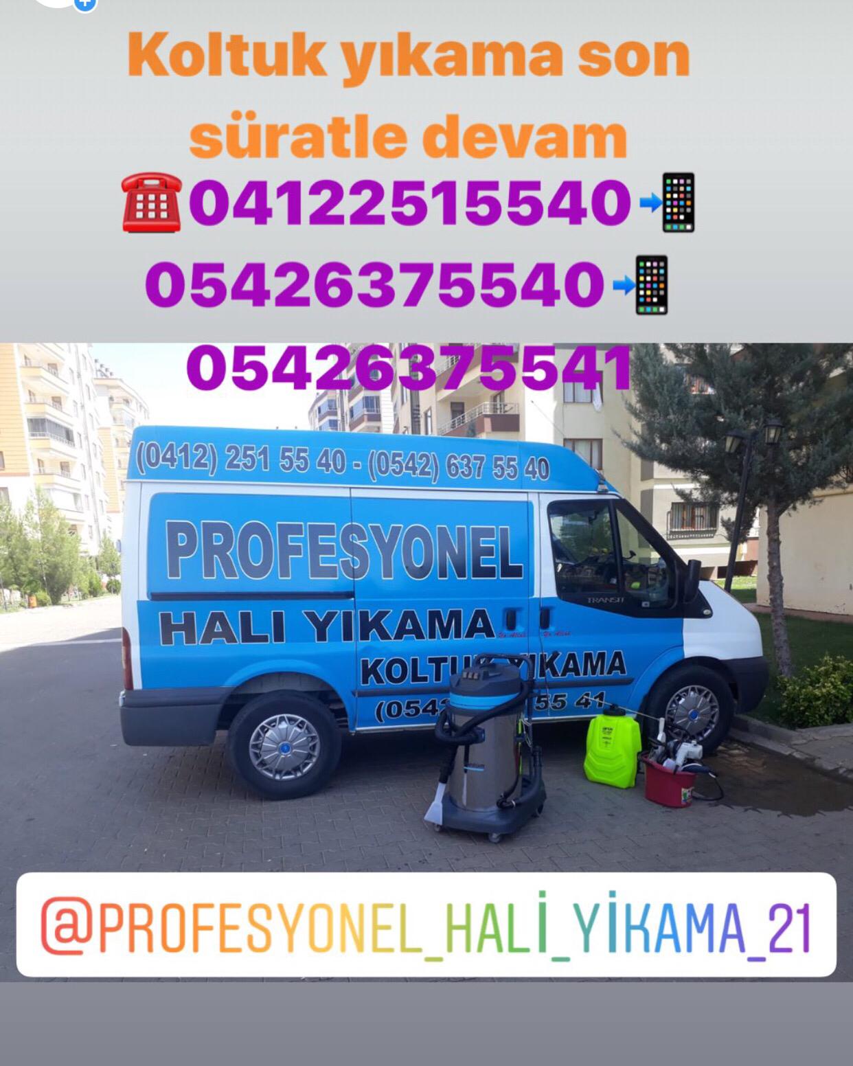 Diyarbakir Hali Yikama M2 Si 2 Tl Gun Icinde Teslim