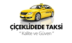ÇİÇEKLİDEDE TAKSİ(MEHDİ BEY)  |  biga taksi | biga acil taksi | bigada  firma logo