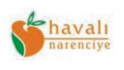Havalı Gıda San Tic Ltd  |  Nevşehirde patates üretimi yapanlar  |  n firma logo