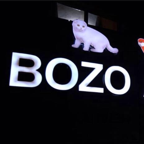 Bozo Petshop firma logo