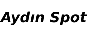 Aydın Spot firma logo