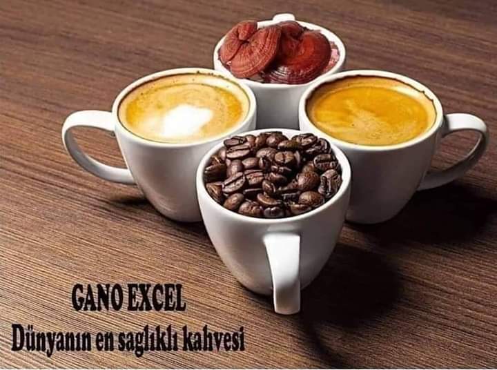 Gano Excel Kahve firma logo