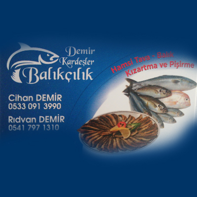Demir Kardeşler Balıkçılık firma logo